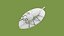 Bug avec feuille modèle 3D