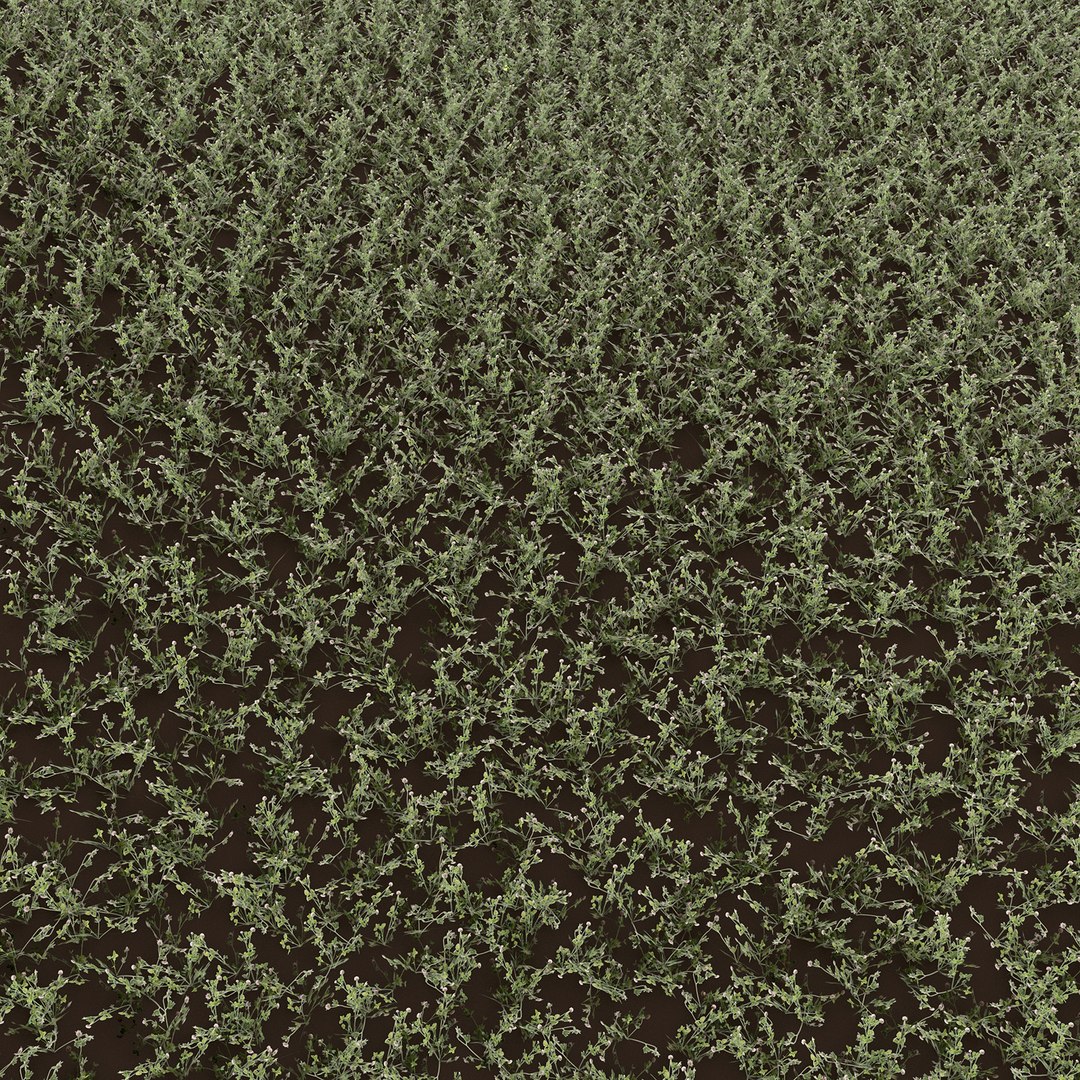 3D model clover https://p.turbosquid.com/ts-thumb/sD/MQezWc/KO/5/jpg/1613145474/1920x1080/fit_q87/0c8a52f31404fd9fdb698066291f712f618fd4a7/5.jpg