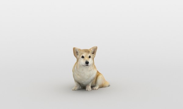 scanned corgi 3D model