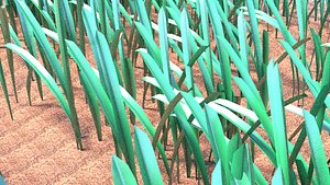 3D grasses lawns model