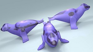 Seal Animal 3D model