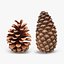 Pine Cones Collection 3D model