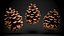 Pine Cones Collection 3D model