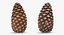 Pine Cones Collection 3D model