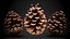 Pine Cones Collection 3D model