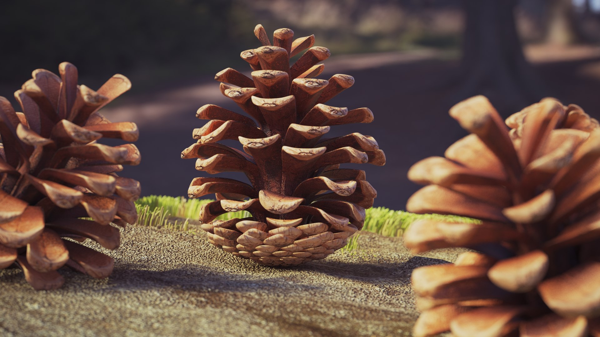 Pine Cones Collection 3D model https://p.turbosquid.com/ts-thumb/sD/Xd4lQB/XV/pineconescollection3dmodel004/jpg/1672106574/1920x1080/fit_q87/973a596853e5f08f55fbbbaae9487b20672e4b8c/pineconescollection3dmodel004.jpg
