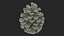 Pine Cones Collection 3D model