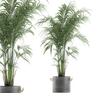 3D decorative palm