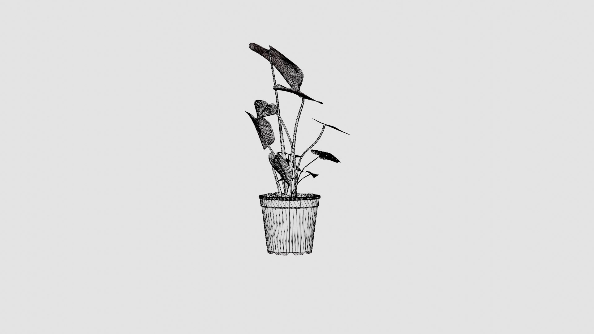 Monstera deliciosa 3D https://p.turbosquid.com/ts-thumb/sD/dv9wgU/dY/preview_7/jpg/1721218821/1920x1080/fit_q87/c45f7f9653cd79f95f0520ccacef1037facf1a8f/preview_7.jpg