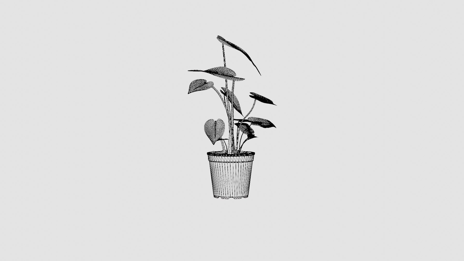 Monstera deliciosa 3D https://p.turbosquid.com/ts-thumb/sD/dv9wgU/vS/preview_6/jpg/1721218811/1920x1080/fit_q87/bfc39cbfc170257062e9b3e40bbe46d19b5aa56c/preview_6.jpg