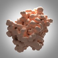 Leptin