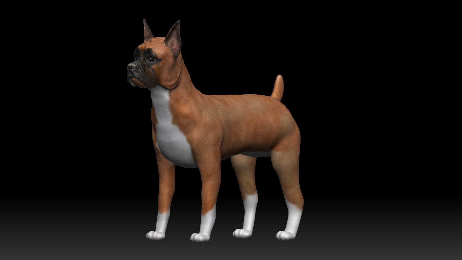 Fully Rigged Low Poly Boxer 3D Model - TurboSquid 1738592