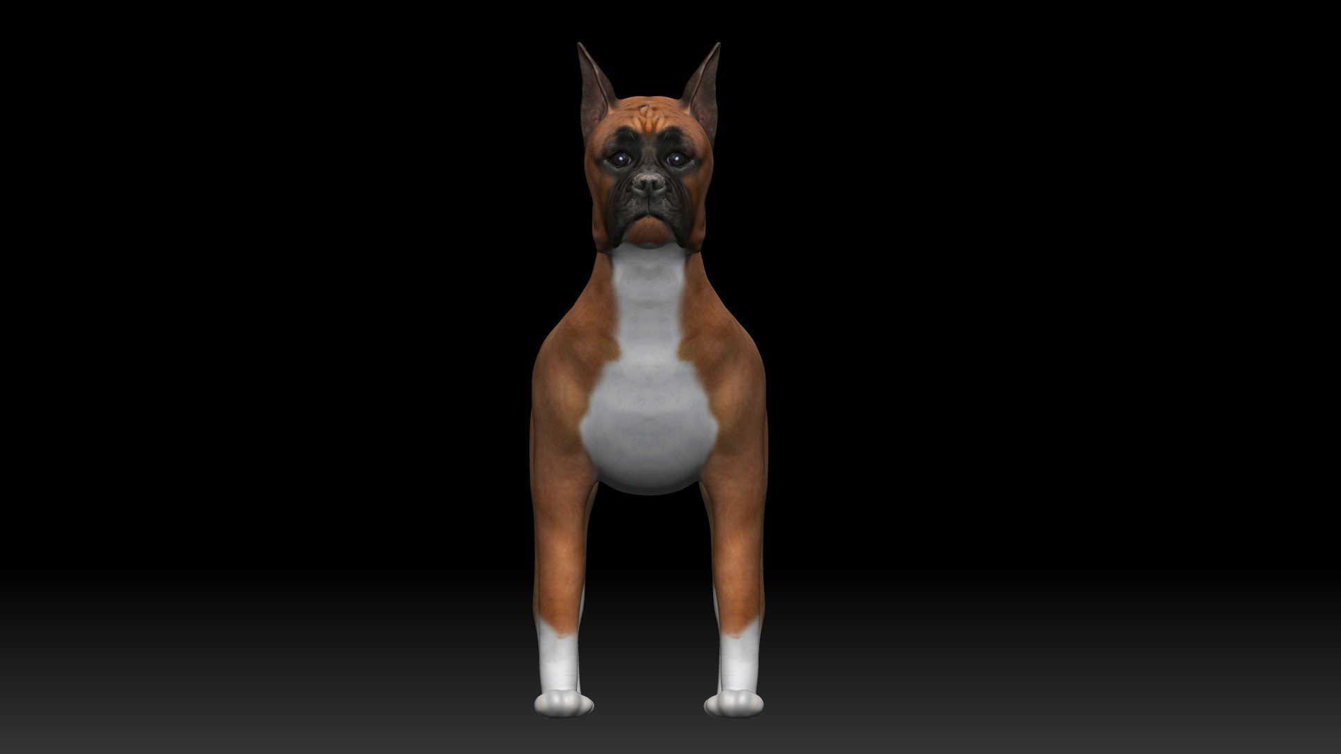 Fully Rigged Low Poly Boxer 3D Model - TurboSquid 1738592