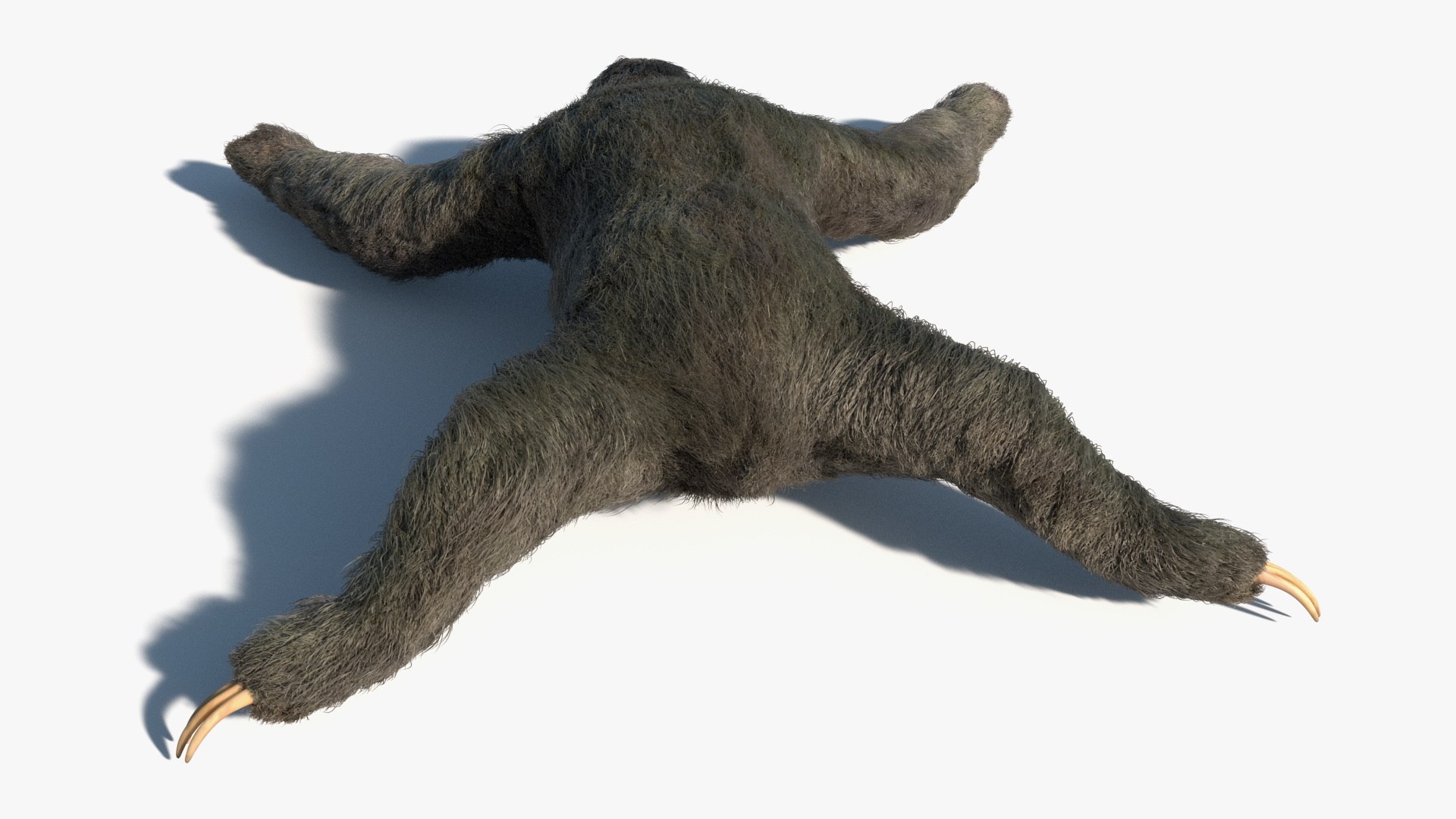 Sloth Fur Set Animated Rigged For Maya 3D model https://p.turbosquid.com/ts-thumb/sD/qduaRt/6G/sloth_fur_set_animated_rigged_for_maya_008/jpg/1792016295/1920x1080/fit_q87/bbbab15c3f332959d834c2259e3d39c37ba4e30e/sloth_fur_set_animated_rigged_for_maya_008.jpg