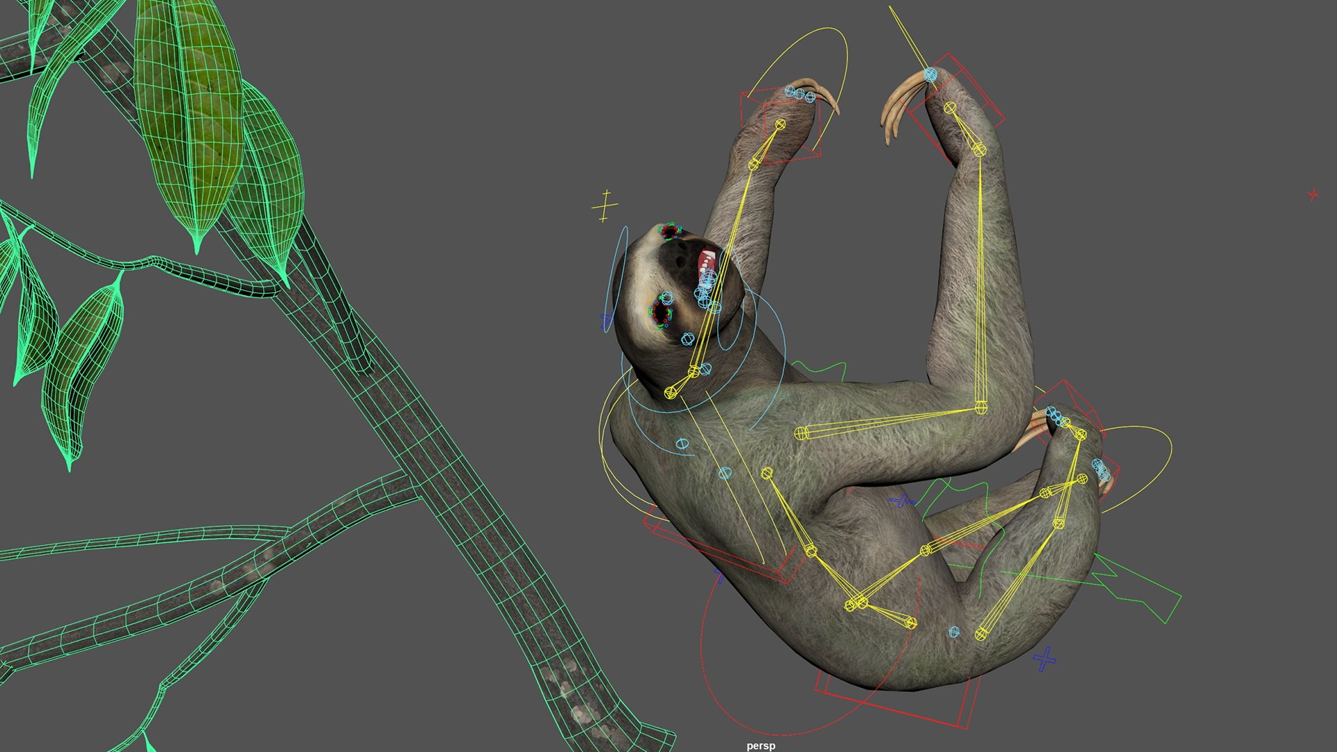 Sloth Fur Set Animated Rigged For Maya 3D model https://p.turbosquid.com/ts-thumb/sD/qduaRt/E6/sloth_fur_set_animated_rigged_for_maya_026/jpg/1792016347/1920x1080/fit_q87/4ad7ca74fd144b5f4c54e90d825bb3e302256a12/sloth_fur_set_animated_rigged_for_maya_026.jpg