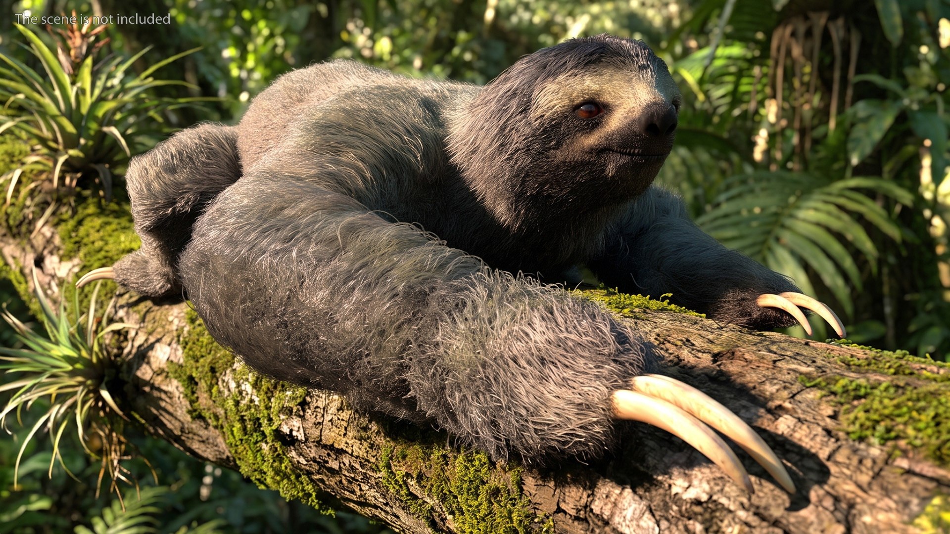 Sloth Fur Set Animated Rigged For Maya 3D model https://p.turbosquid.com/ts-thumb/sD/qduaRt/Mj/sloth_fur_set_animated_rigged_for_maya_005/jpg/1792016286/1920x1080/fit_q87/9be6241e47dff12aa6179952f8aa5f550584d365/sloth_fur_set_animated_rigged_for_maya_005.jpg