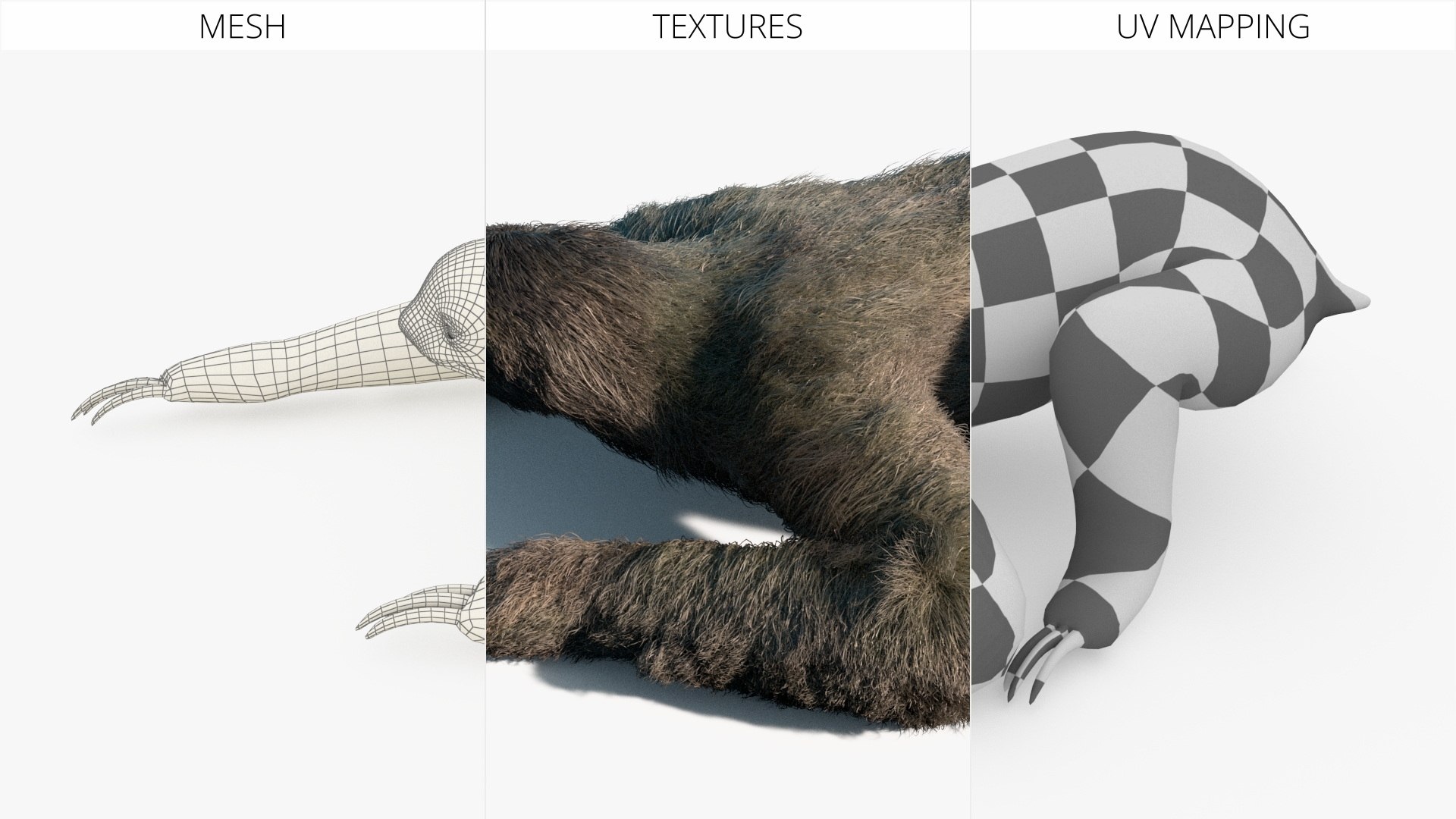 Sloth Fur Set Animated Rigged For Maya 3D model https://p.turbosquid.com/ts-thumb/sD/qduaRt/Po/sloth_fur_set_animated_rigged_for_maya_019/jpg/1792016326/1920x1080/fit_q87/8b69793af9ec010ddd73bcfb849221c503e3c2ae/sloth_fur_set_animated_rigged_for_maya_019.jpg