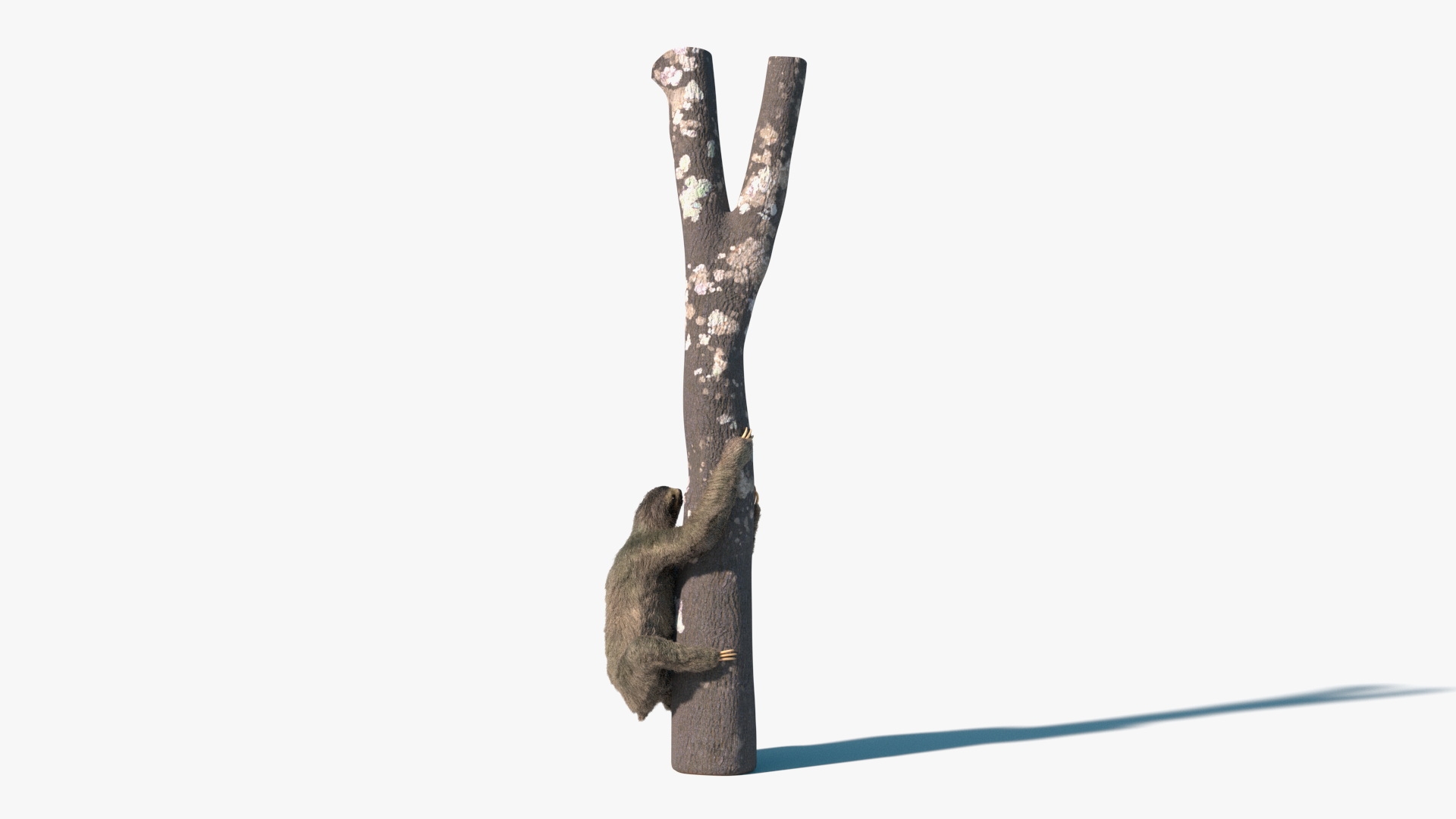 Sloth Fur Set Animated Rigged For Maya 3D model https://p.turbosquid.com/ts-thumb/sD/qduaRt/ZT/sloth_fur_set_animated_rigged_for_maya_364/jpg/1792016095/1920x1080/turn_fit_q99/b6f1971464715f30c27b7e4ad6b339f57485b55f/sloth_fur_set_animated_rigged_for_maya_364-1.jpg