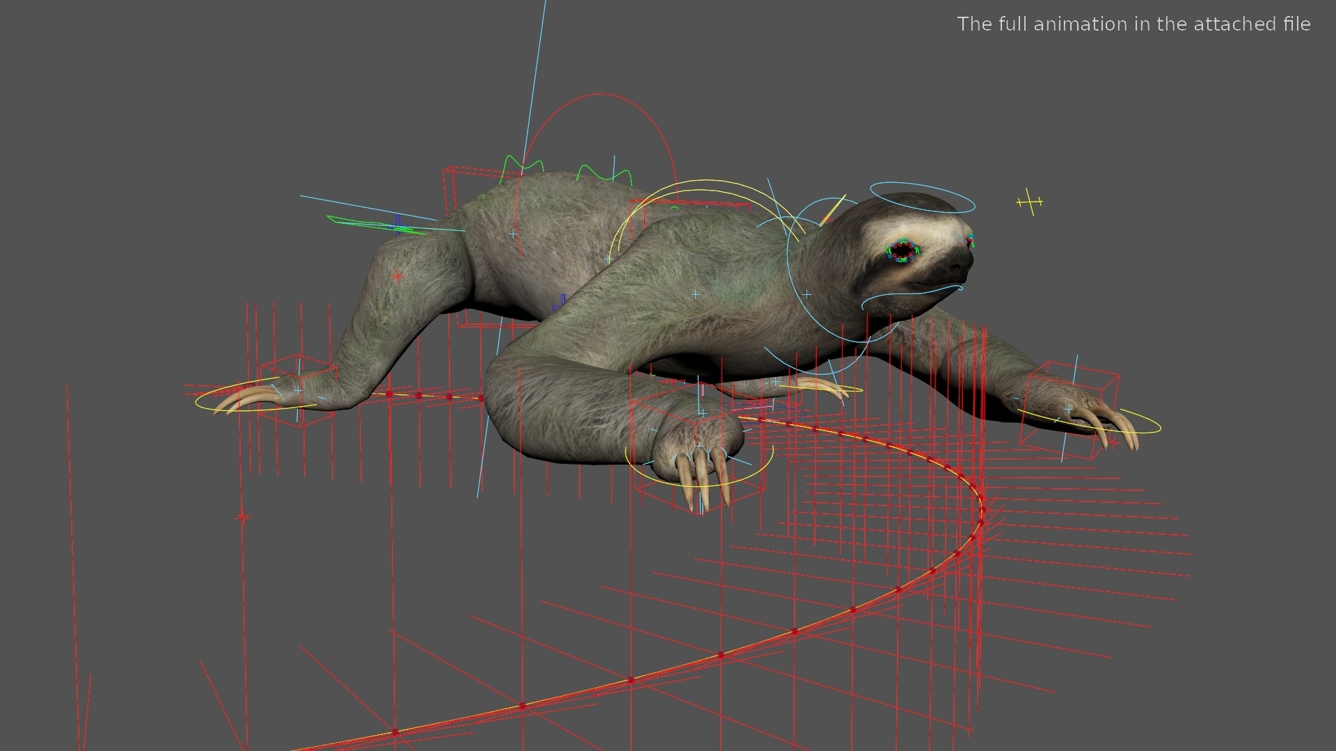 Sloth Fur Set Animated Rigged For Maya 3D model https://p.turbosquid.com/ts-thumb/sD/qduaRt/fH/sloth_fur_set_animated_rigged_for_maya_366/jpg/1792016207/1920x1080/turn_fit_q99/754ff5a6a2231502a3bcd003eb83297b480c4dc5/sloth_fur_set_animated_rigged_for_maya_366-1.jpg