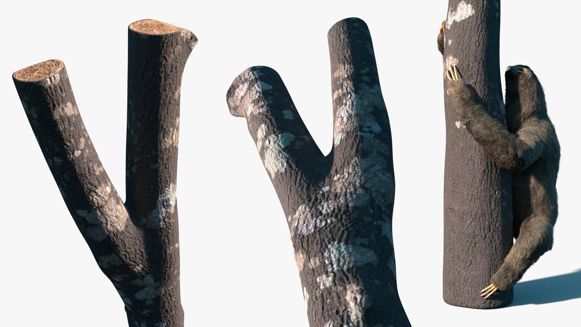Sloth Fur Set Animated Rigged For Maya 3D model https://p.turbosquid.com/ts-thumb/sD/qduaRt/jg/sloth_fur_set_animated_rigged_for_maya_015/jpg/1792016315/1920x1080/fit_q87/0287a6baf7715a6e22641695a30dcbeeece459da/sloth_fur_set_animated_rigged_for_maya_015.jpg