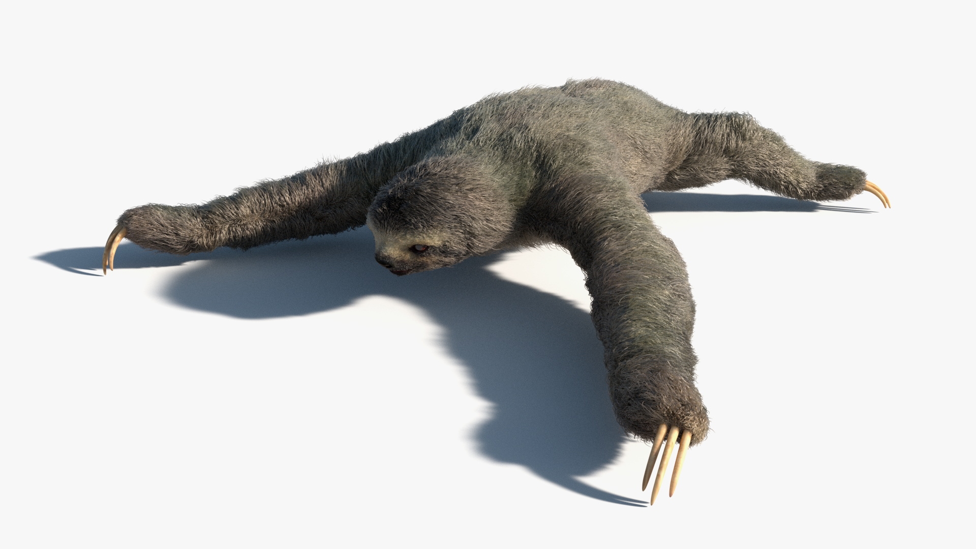 Sloth Fur Set Animated Rigged For Maya 3D model https://p.turbosquid.com/ts-thumb/sD/qduaRt/uF/sloth_fur_set_animated_rigged_for_maya_360/jpg/1792015830/1920x1080/turn_fit_q99/8e59f2e95480ef56ad5ff2ba1a93108f553bca38/sloth_fur_set_animated_rigged_for_maya_360-1.jpg
