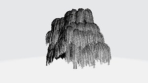 3D willow tree