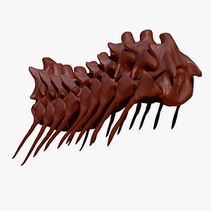 Dinosaur Giganotosaururs Neck Skeletons Sculpt Project