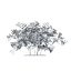 Arbusto concettuale S1Cv3