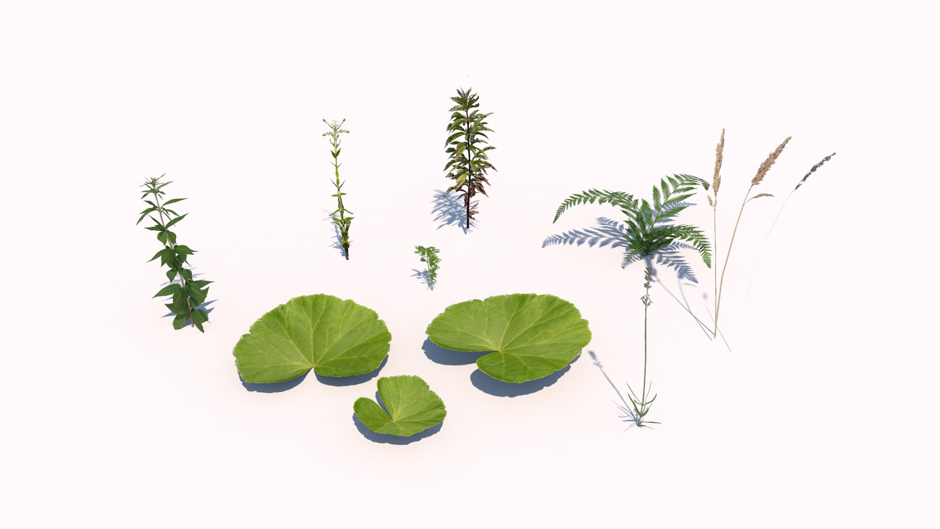 different plants 3d 3ds https://p.turbosquid.com/ts-thumb/sE/9tmQQR/38YBwsoV/1/jpg/1463925525/1920x1080/fit_q87/e66730afda4b0aab8aee05eed29b6cd9334f579e/1.jpg