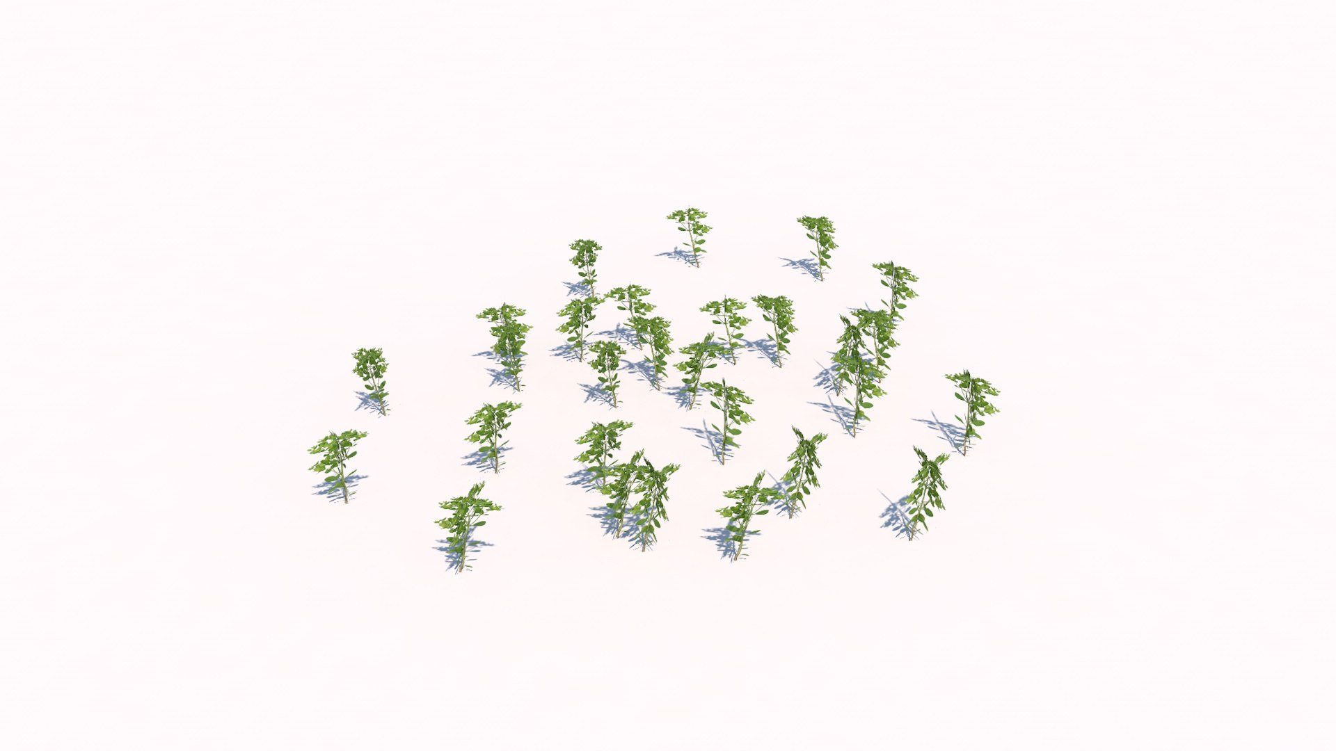 different plants 3d 3ds https://p.turbosquid.com/ts-thumb/sE/9tmQQR/8Tw20VVu/9/jpg/1463925526/1920x1080/fit_q87/5cfa60d62e3a01681adb7e692248edaced5dbf00/9.jpg
