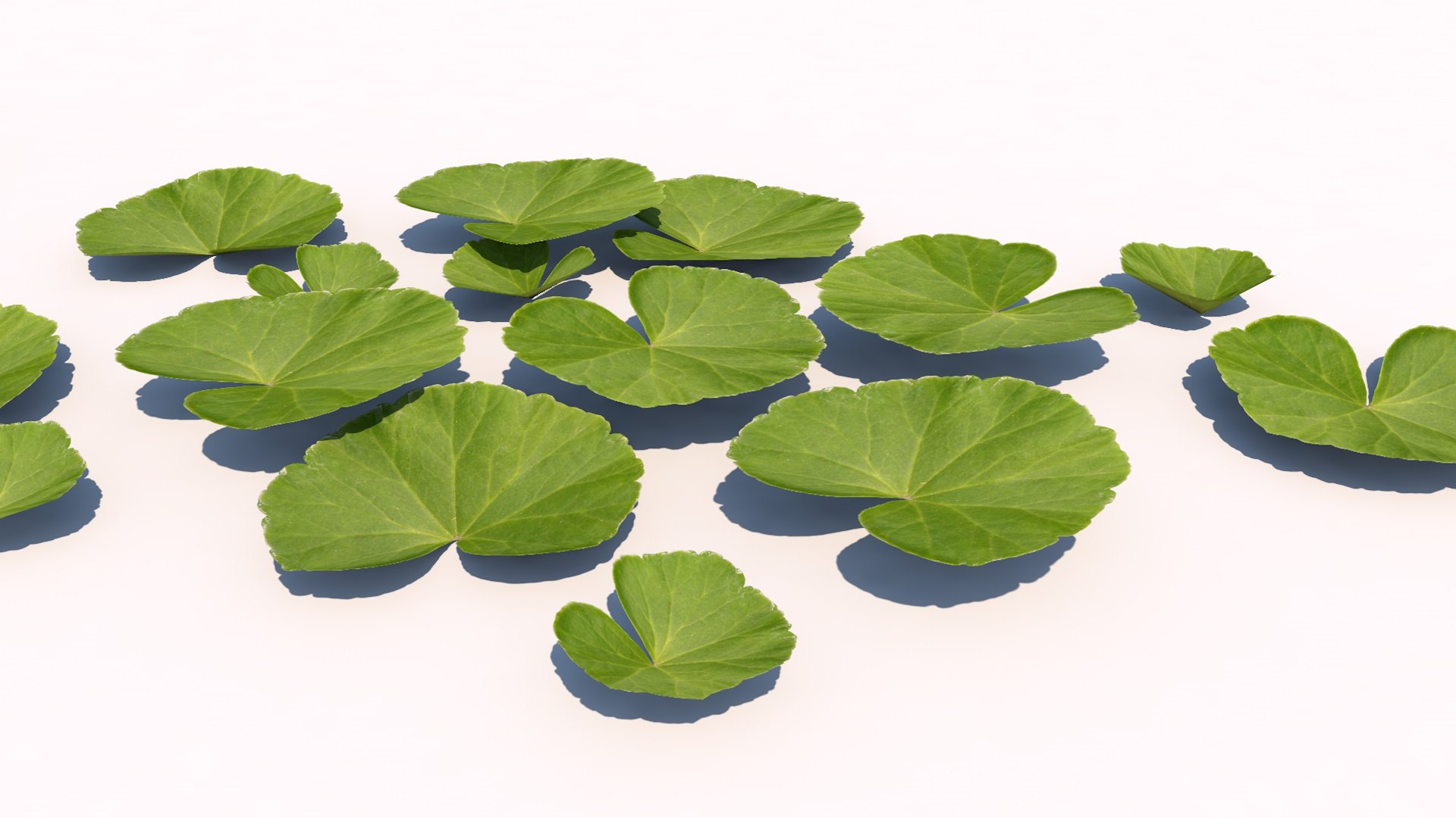 different plants 3d 3ds https://p.turbosquid.com/ts-thumb/sE/9tmQQR/9BC5XkKl/2/jpg/1463925525/1920x1080/fit_q87/1e2fb24b24b9d029e055b8c096823380a5d1415a/2.jpg