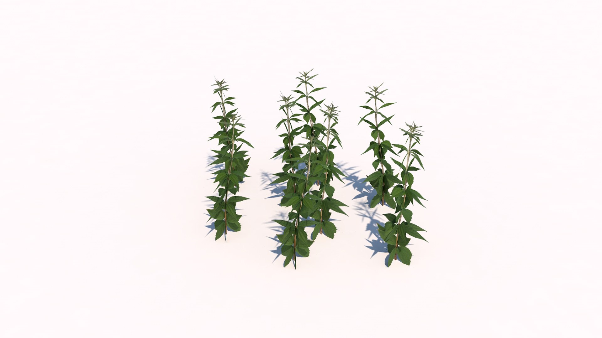 different plants 3d 3ds https://p.turbosquid.com/ts-thumb/sE/9tmQQR/9Cg0NoSP/6/jpg/1463925526/1920x1080/fit_q87/91f38b0ba46cd25c505efc64eb4f112899175163/6.jpg