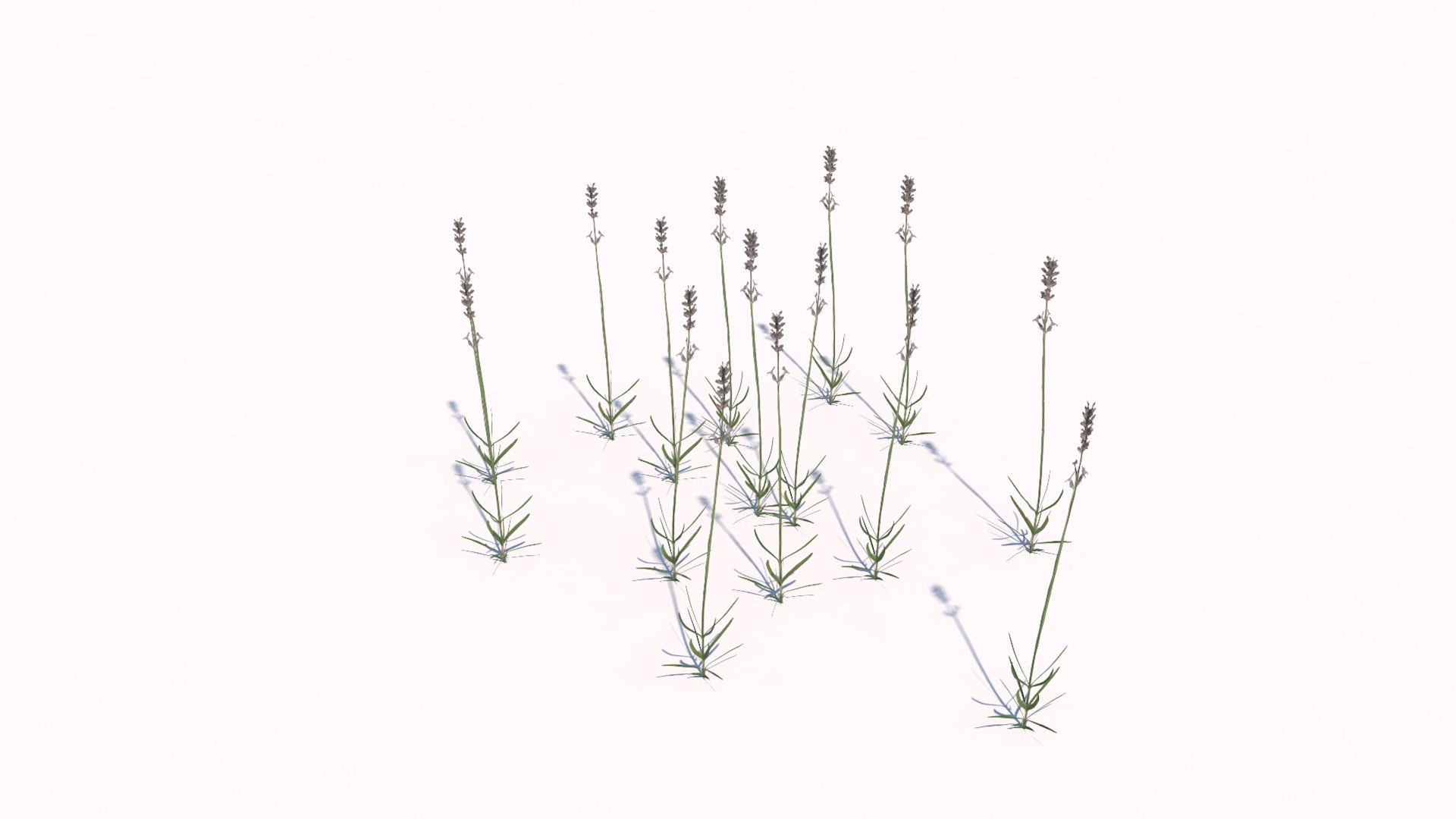 different plants 3d 3ds https://p.turbosquid.com/ts-thumb/sE/9tmQQR/AMRpCX2X/7/jpg/1463925526/1920x1080/fit_q87/8ce0593f628e4f7cd8c46b8d3c857f6fe43122ac/7.jpg