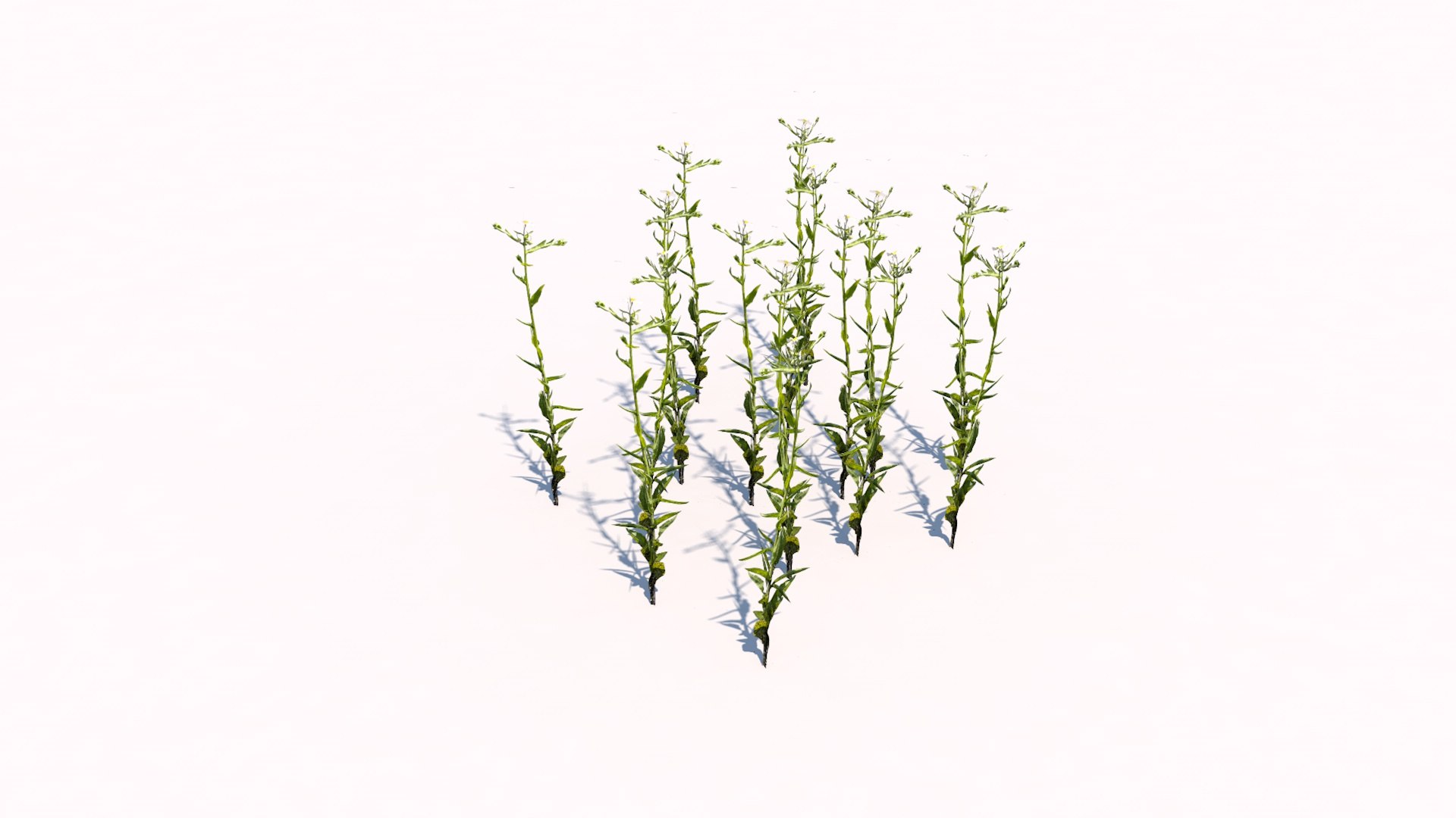 different plants 3d 3ds https://p.turbosquid.com/ts-thumb/sE/9tmQQR/RZo5UhOD/5/jpg/1463925526/1920x1080/fit_q87/a6a5b8102db263b40202fad45eea57f7f85d5e3f/5.jpg