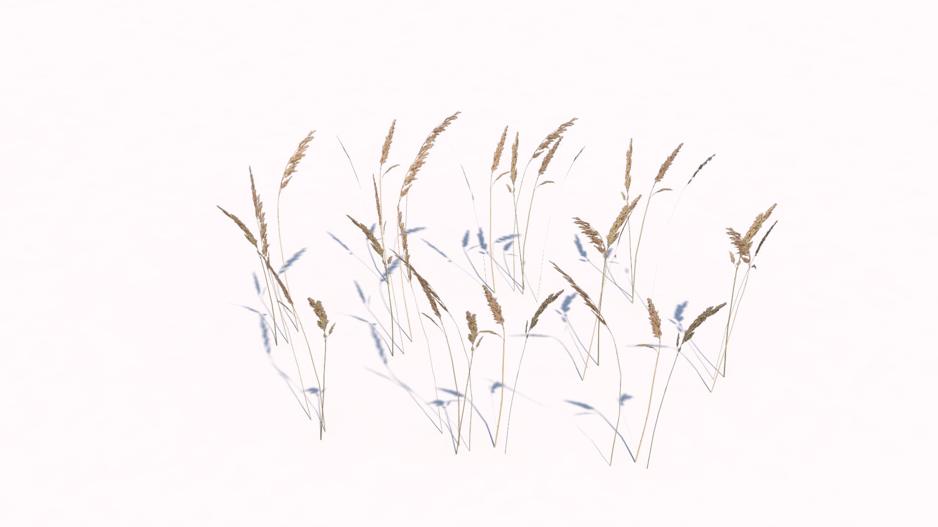 different plants 3d 3ds https://p.turbosquid.com/ts-thumb/sE/9tmQQR/hDcNXH9L/4/jpg/1463925525/1920x1080/fit_q87/d50434cee3b453cb283452b1bf07e28c02e4fa4d/4.jpg