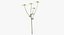 Collezione Flowers 03 - 77 Prodotti