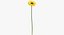 Collezione Flowers 03 - 77 Prodotti