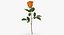 Collezione Flowers 03 - 77 Prodotti