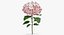 Collezione Flowers 03 - 77 Prodotti