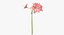 Collezione Flowers 03 - 77 Prodotti