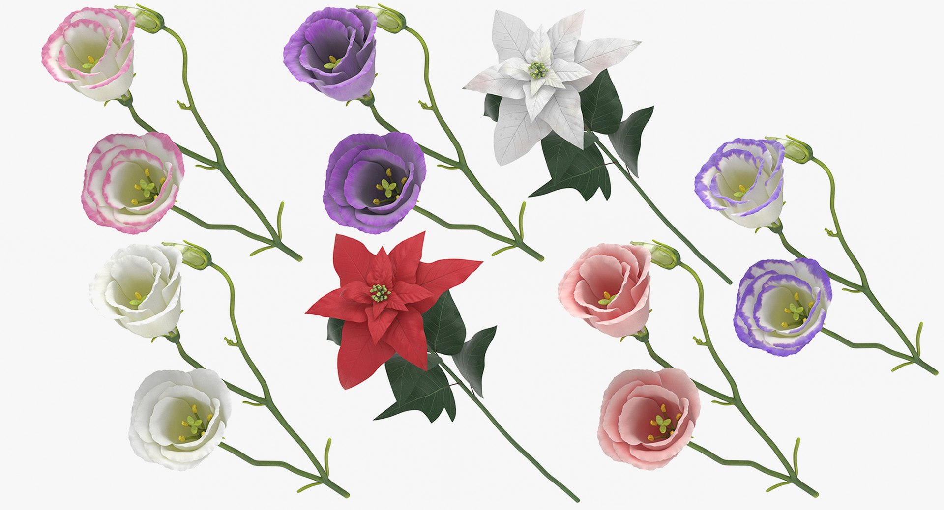 flowers 03 - 77 3D https://p.turbosquid.com/ts-thumb/sE/P3vg14/RE3l5M4r/flowers_collection_03__group_thumbnail_08_03/jpg/1566292692/1920x1080/fit_q87/2916b1dcf418a3c9fb5890a8813278ea892e2a24/flowers_collection_03__group_thumbnail_08_03.jpg