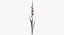 Collezione Flowers 03 - 77 Prodotti