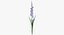 Collezione Flowers 03 - 77 Prodotti