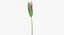 Collezione Flowers 03 - 77 Prodotti