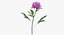 Collezione Flowers 03 - 77 Prodotti