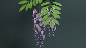 3D wisteria flower