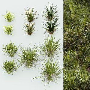 3D Meadow Lawn Grassland Set 002