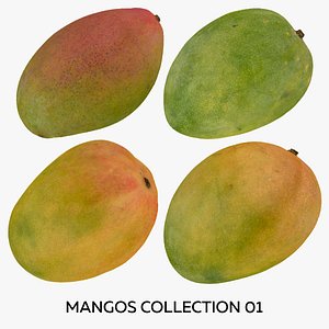 Mangos Collection 01 - 4 models RAW Scans