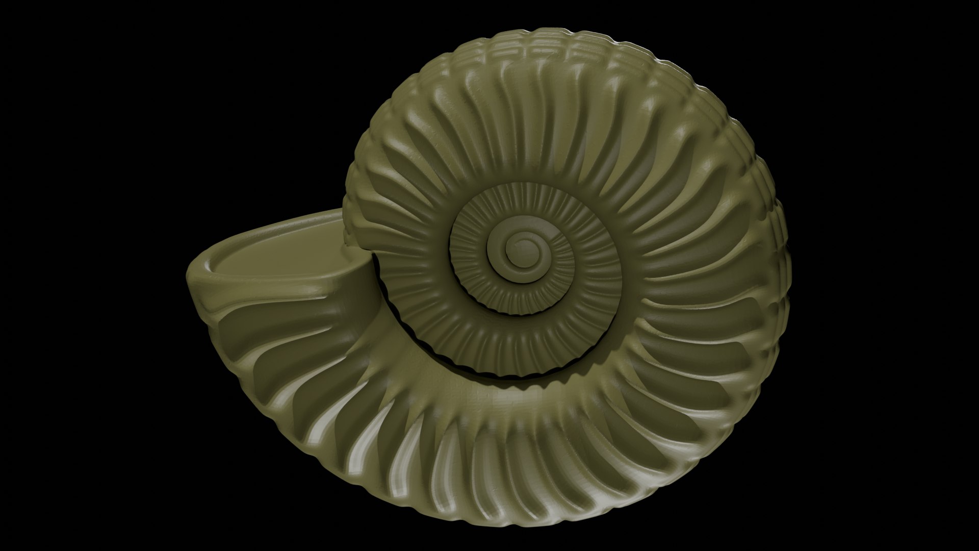 Ammonoid Shell With Ventral Nodes And Convex Ribs 3D - TurboSquid 2299086