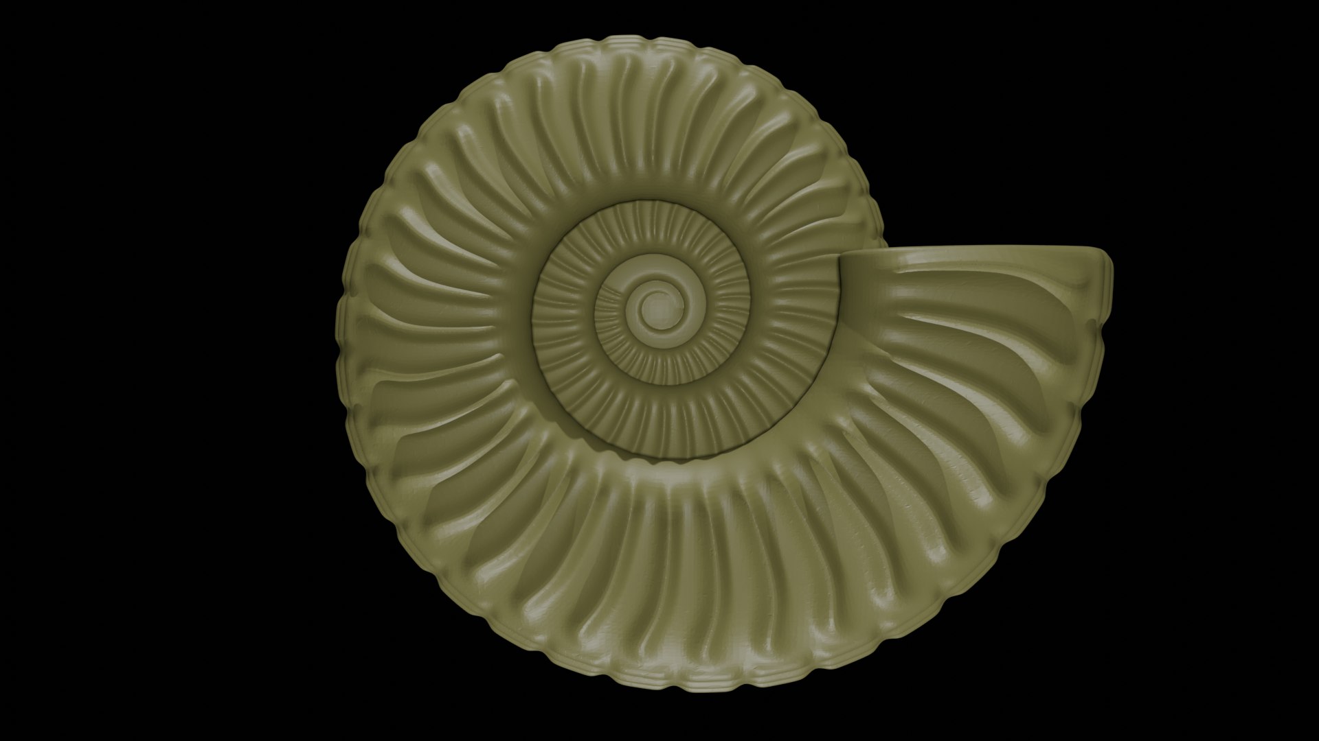 Ammonoid Shell With Ventral Nodes And Convex Ribs 3D - TurboSquid 2299086